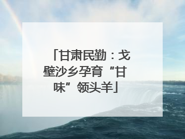 甘肃民勤：戈壁沙乡孕育“甘味”领头羊